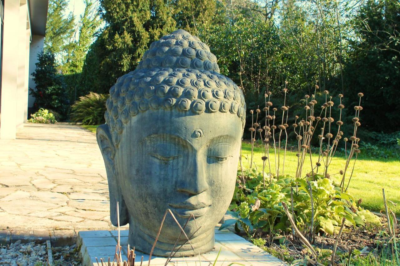 Villa Pura Vida Kortrijk Bagian luar foto